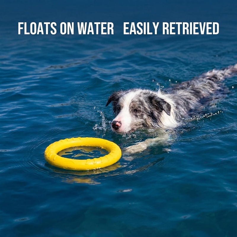Flying Disc Dog Training Toy - Игрушки для собак: летающие диски из
