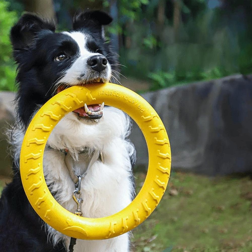 Indestructible Dog Chew Toy - Неразрушимые игрушки-кольца для собак: для жевания,