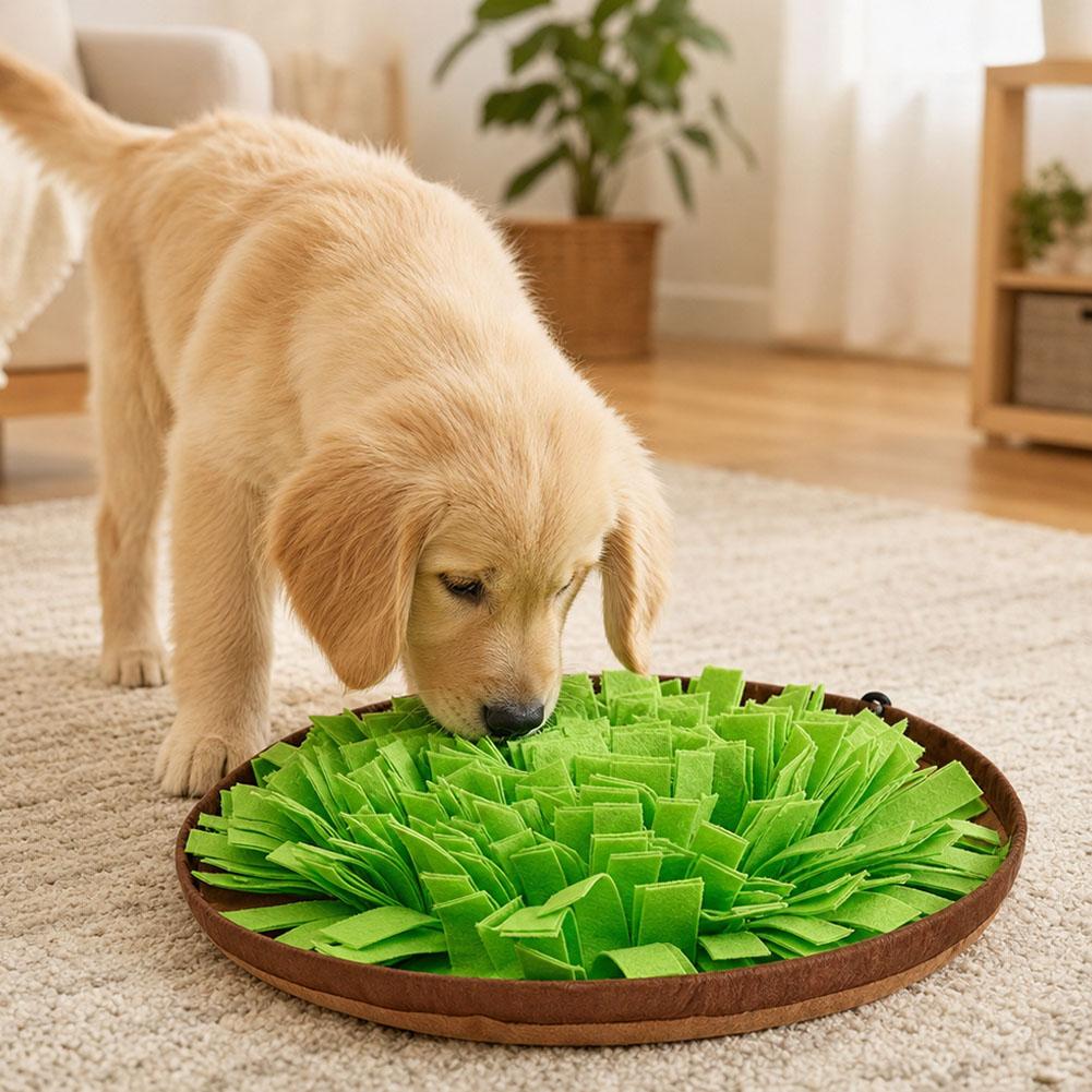 Интерактивный коврик-головолом – обзор и цена Dog Puzzle Feeder Toy