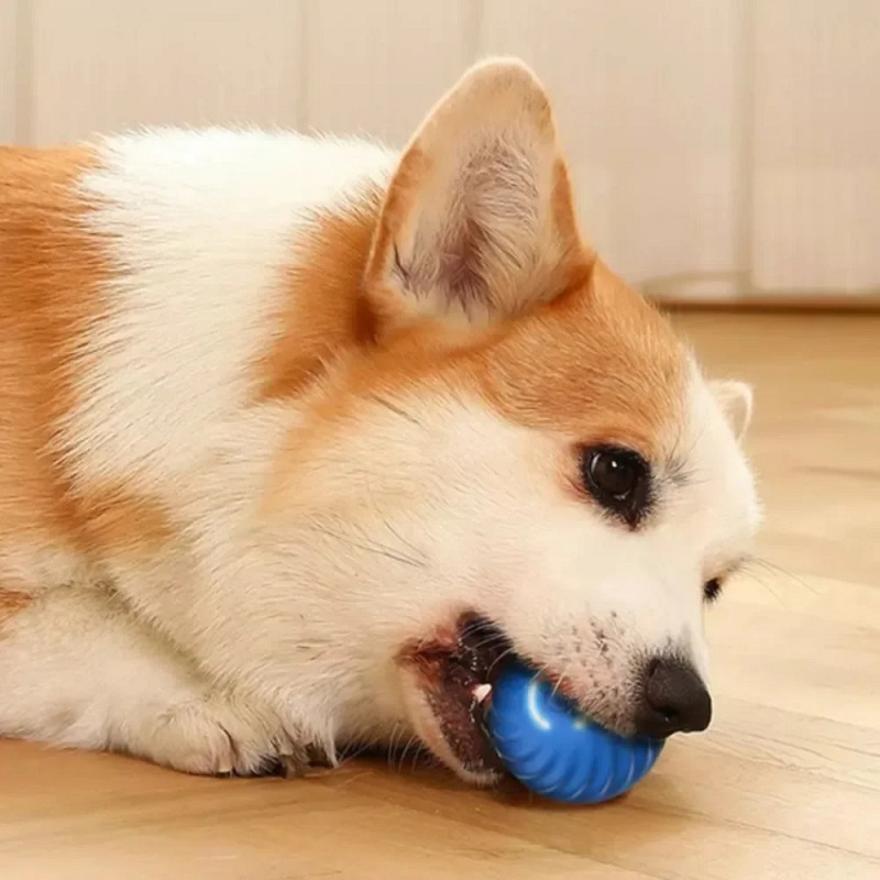 Интерактивный умный мяч-игрушк – обзор и цена Automatic Moving Dog Ball