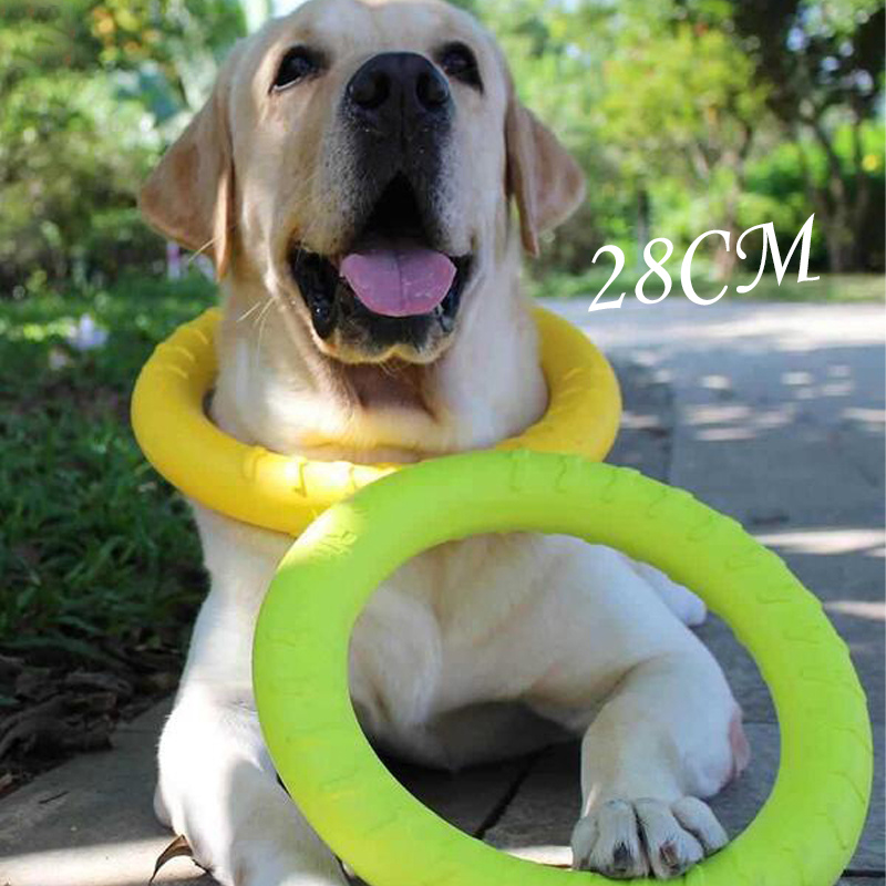 Игрушки для собак: летающие ди – обзор и цена Flying Disc Dog Training Toy