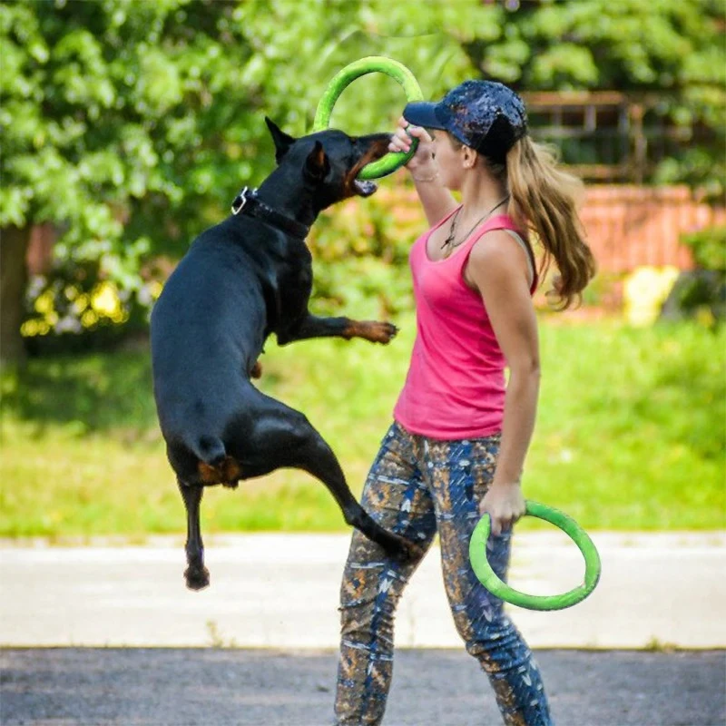 Игрушки для собак, летающие ди – обзор и цена Flying Disc Dog Training Toy