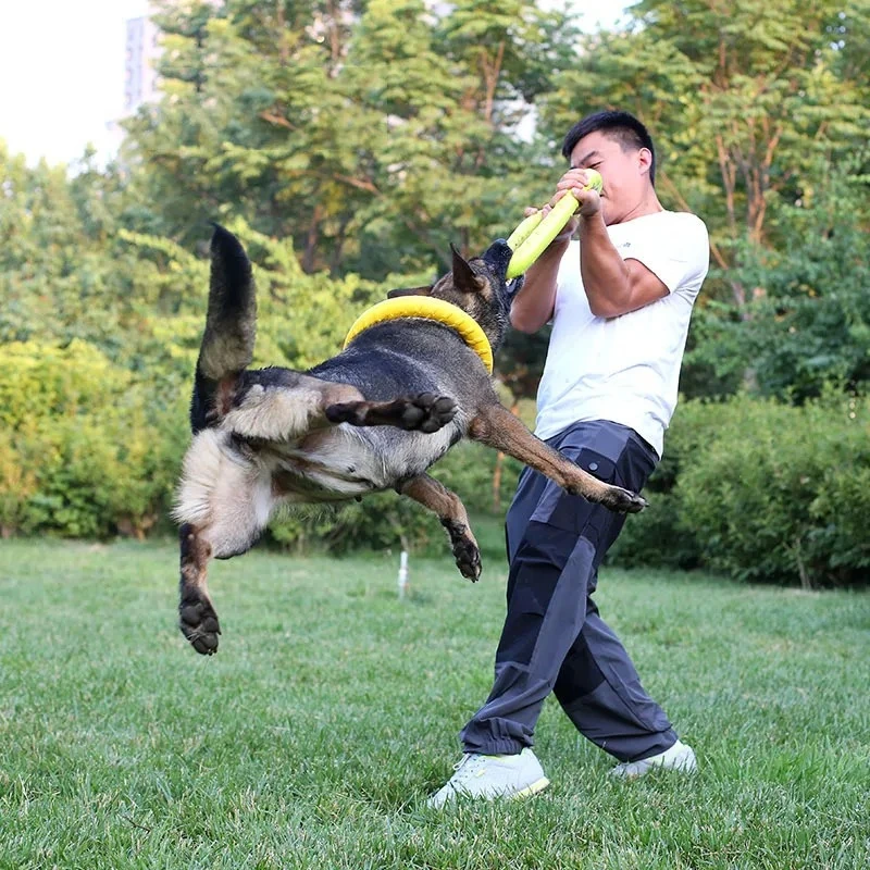 Игрушки для собак, летающие ди – обзор и цена Flying Disc Dog Training Toy