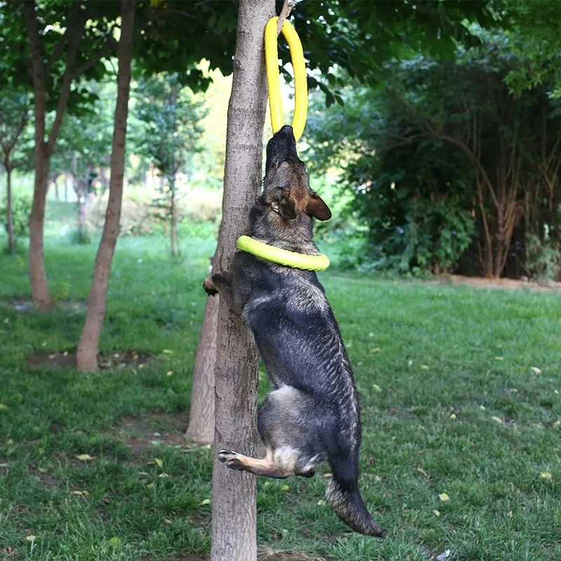 Игрушки для собак, летающие ди – обзор и цена Flying Disc Dog Training Toy