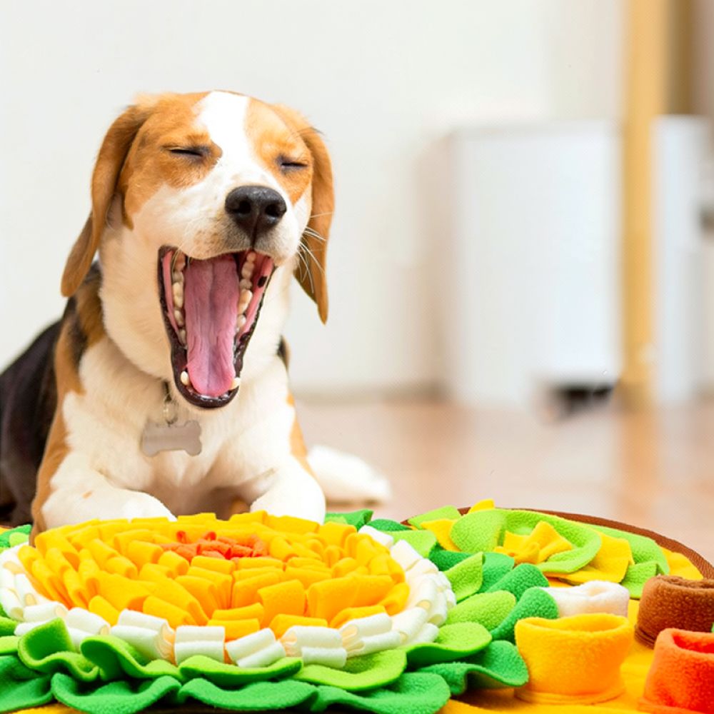 Коврик-головоломка для собак в – обзор и цена Dog Puzzle Feeder Toy