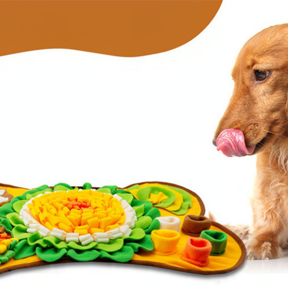 Коврик-головоломка для собак в – обзор и цена Dog Puzzle Feeder Toy