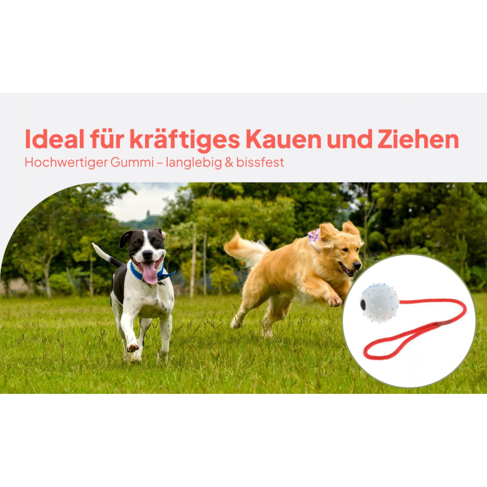 Игрушка для дрессировки животн – обзор и цена Rubber Treat Dispensing Dog Toy